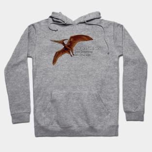 Realistic drawing of the Pteranodon Hoodie